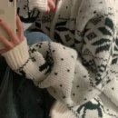 디자인스웨터 이미지
