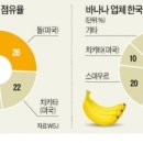 과일킹 이미지
