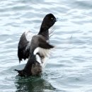 노을해안로 이미지