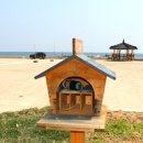 영덕3 Daum카페