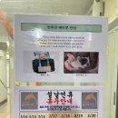 시장이 반찬이다 | "돌고래시장" 주차 정보와 반찬이 맛있는 "도모만두돈가스" 내돈내산 후기