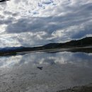 호동바닷가가든 이미지