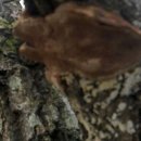 제눈에 안경 이미지