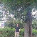 홍성군청소년상담복지센터