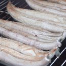 맛장어먹는날 이미지