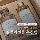 달달한공부방 | 센스있는집들이선물 추천 듀이홀릭 디퓨저 대용량디퓨저 AUGUST 후기 실내디퓨저