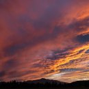 비자림빌리지2 이미지