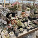 풀잎농장 이미지