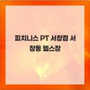 피치니스 이미지