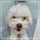 리라동물병원 이미지