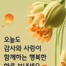 [ 생(生)의 목표(目標) ](이해인) // 🔵《요양원 풍경》🔵//오늘도 감사와사랑을 함께하세요 이미지