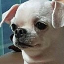 쌍둥이왕갈비 | 생일 주간 후기