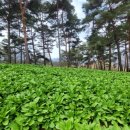 기명농장 이미지