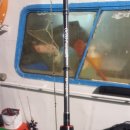 하나유선(하나호) 이미지