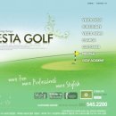 베스타 골프 이미지