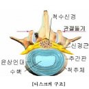 한국서봉경혈지압학회