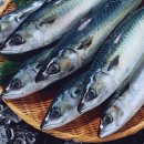 올데이피티 이미지