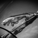 아크로 공업사 이미지