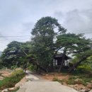 병천2로 이미지