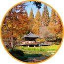 경남야생동물센터 | 진주 반성 경상남도 수목원 경남 가을 단풍 명소 나들이 가볼만한곳