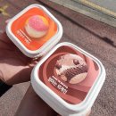 노성로 | [충남 논산 당일치기]- 딸기체험, 요쿠야마치, 선샤인 스튜디오