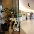 서울꾸러기365의원 이미지