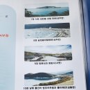남해편백마을