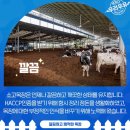 소고목장 이미지