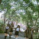 송3 이미지