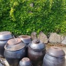 봉숙이네바닷가 민박 이미지