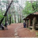 대티골계곡 이미지