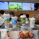 울산 삼산 차백도 | 망고 포멜로 사고 솔직후기, 웨이팅 정보