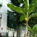 양지동 주민센터 이미지