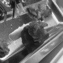 헤이사랑치과의원 이미지