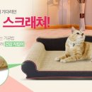 오케이펫