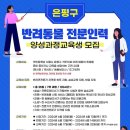 반려동물 펫시터 자격증 과정 이미지