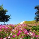 연천 호로고루 이미지