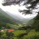 밤하늘에저별처럼 농장 이미지