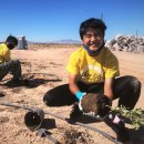 Shine City Project planting at the Las Vegas Wash Green-Up 이미지