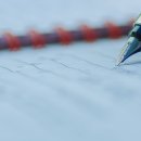 참좋은 행정사사무소 이미지