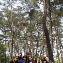 2018 서울신학대학교 사회복지학과 겨울 학습여행 안내 이미지