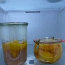 은행나무 농장 | 복숭아 농장) 은행나무집 후기🍑