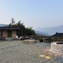 금향 | 하동 여행 숙소 추천 : 금향다원 솔이방 숙박 후기