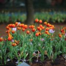 석남체육공원 이미지