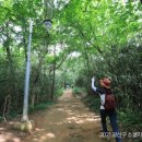 어등산등산로 이미지