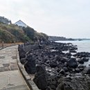 애월제주포레 이미지