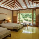 제주포도 이미지