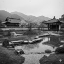 정원(願)