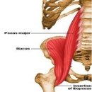 비타민휘트니스 이미지