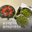 블루웨일더후르츠울산 | 울산과일가게 24시 무인운영 블루웨일더후르츠 울산중구점